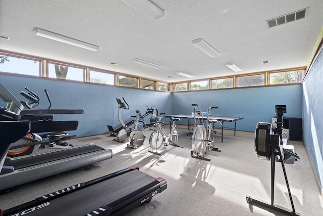 1115 Daniel Ct Unit 40, Neenah, WI 54956 - workout area featuring a textured ceiling