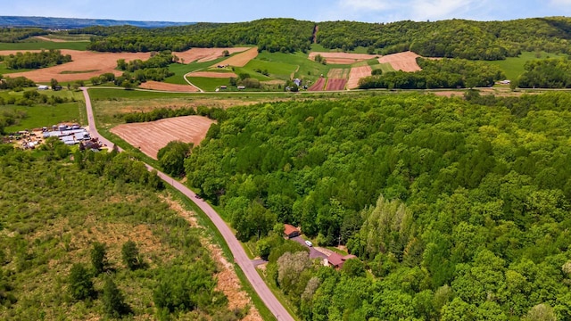 N17795 Trim Rd, Galesville, WI 54630 - bird's eye view of a forest