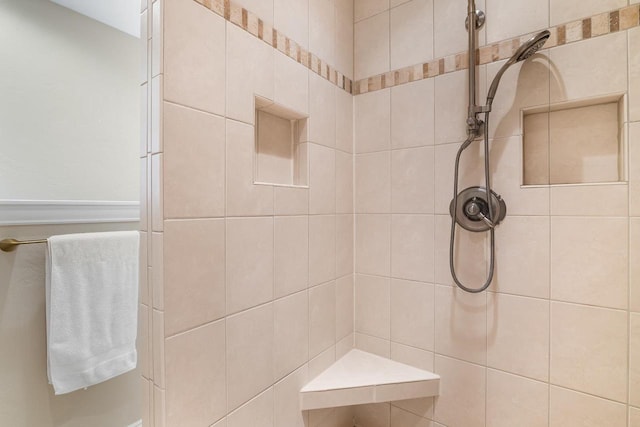 W4825 Wild Wings Dr, Sherwood, WI 54169 - bathroom with tiled shower