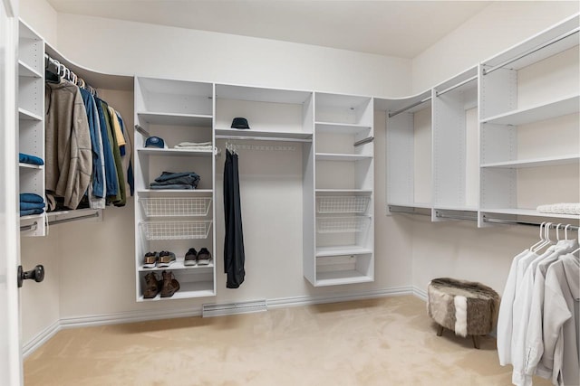 W4825 Wild Wings Dr, Sherwood, WI 54169 - walk in closet with carpet flooring