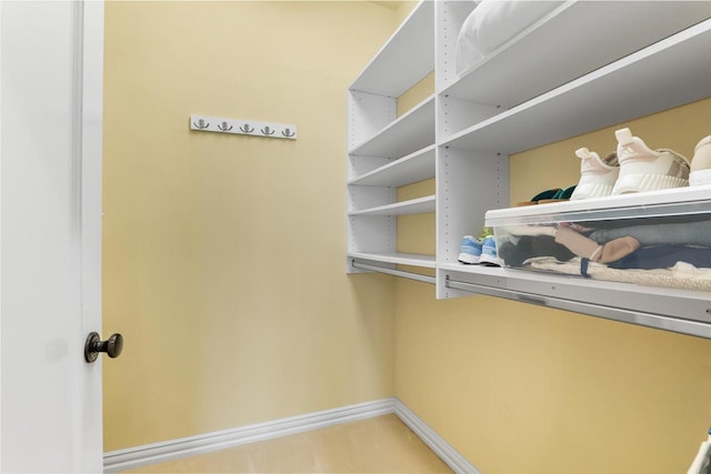 W4825 Wild Wings Dr, Sherwood, WI 54169 - view of spacious closet