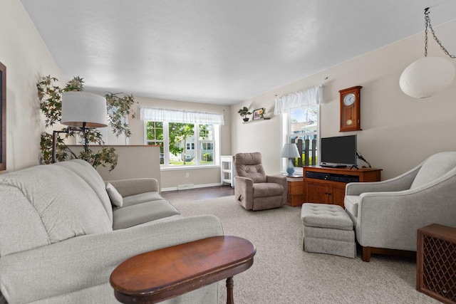 1242 Liberty St, Oshkosh, WI 54901 - living room featuring plenty of natural light