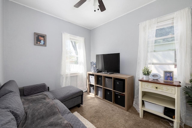 2801 Harvey St, La Crosse, WI 54603 - living room featuring ceiling fan, carpet flooring, and crown molding