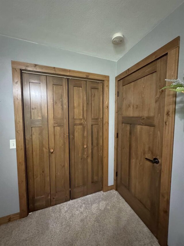 N3140 Forest Prairie Park Rd, Monroe, WI 53566 - bedroom with carpet, baseboards, and a closet