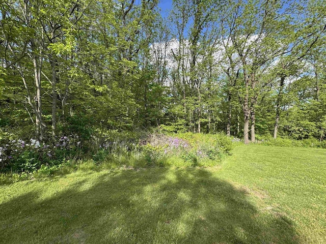 N3140 Forest Prairie Park Rd, Monroe, WI 53566 - view of green lawn