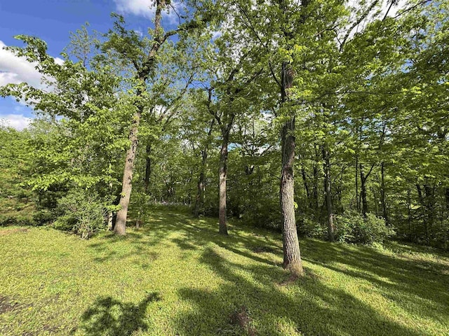 N3140 Forest Prairie Park Rd, Monroe, WI 53566 - view of grassy yard