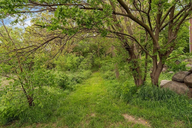 10 Kings Mill Cir Unit 113, Madison, WI 53718 - view of wooded area