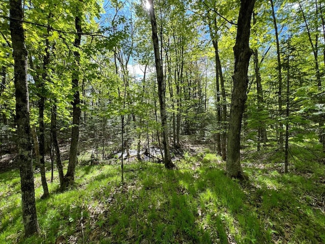 19.95ACRES Old Elcho Rd, Wi, WI 54463