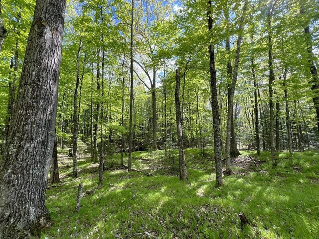 19.95ACRES Old Elcho Rd, Wi, WI 54463