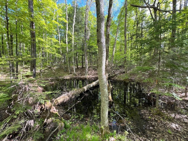 19.95ACRES Old Elcho Rd, Wi, WI 54463