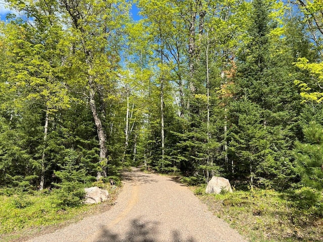 19.95ACRES Old Elcho Rd, Wi, WI 54463