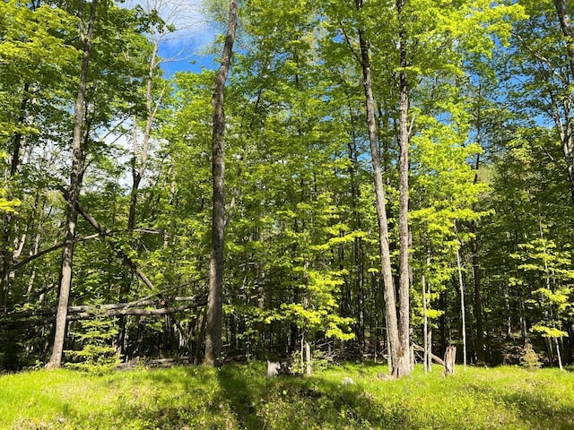 19.95ACRES Old Elcho Rd, Wi, WI 54463