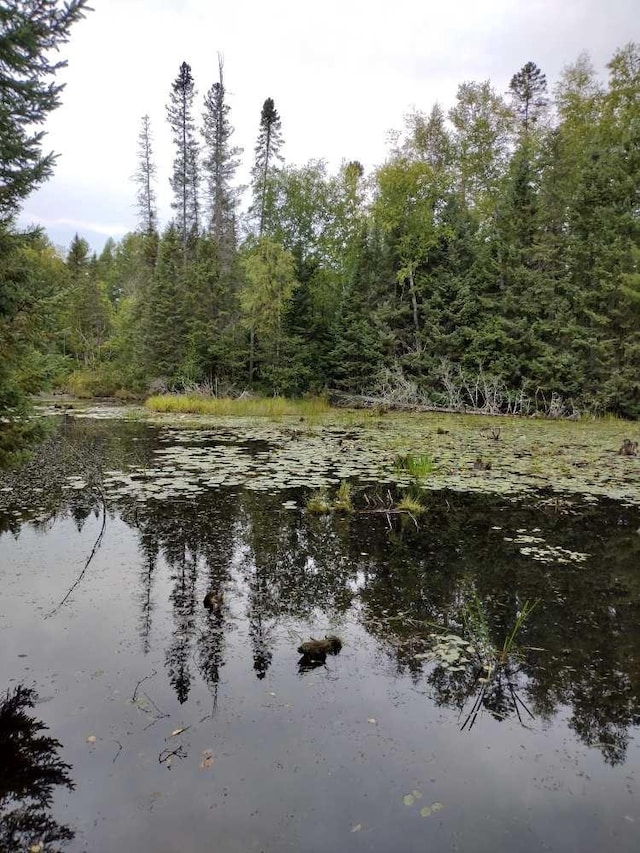 0.56ACRES W Killarney Dr, Tomahawk, WI 54487