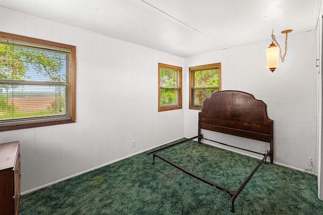 N10678 US Highway 151, Malone, WI 53049 - bedroom with carpet floors