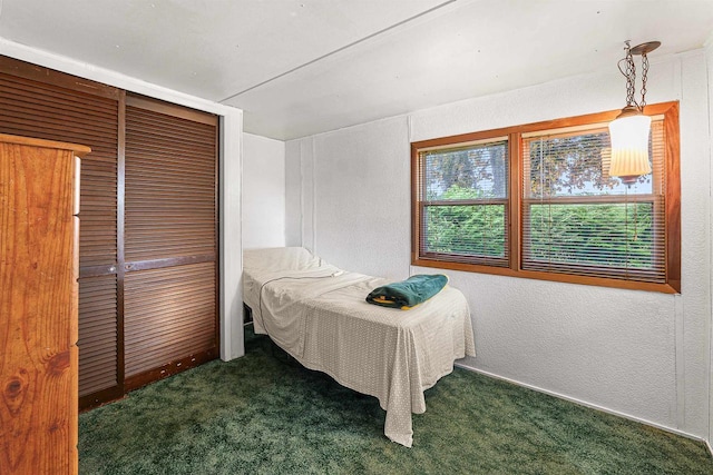 N10678 US Highway 151, Malone, WI 53049 - bedroom with carpet floors, a textured wall, and a closet