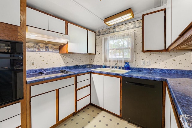 N10678 US Highway 151, Malone, WI 53049 - kitchen featuring dishwashing machine, black oven, white cabinetry, a sink, and light floors