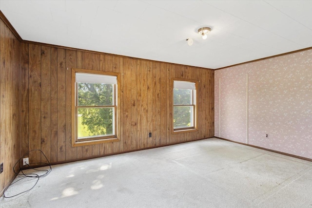 N1815 County Road T, Brodhead, WI 53520 - carpeted empty room featuring ornamental molding, wallpapered walls, and wooden walls