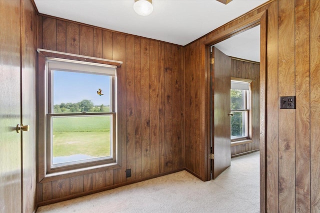 N1815 County Road T, Brodhead, WI 53520 - empty room featuring light colored carpet and wooden walls