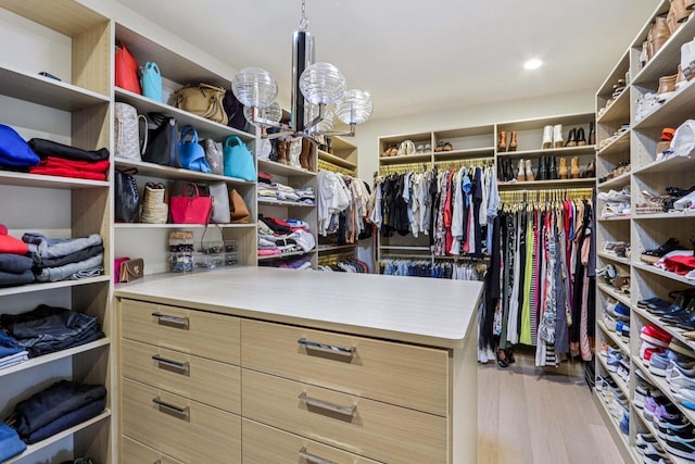 7678 Badger Run Ct, Verona, WI 53593 - walk in closet with wood finished floors