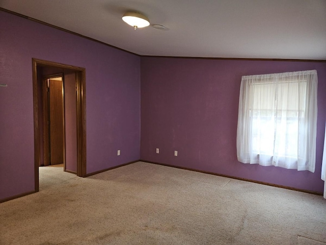 7102 Fire Tower Rd, Rhinelander, WI 54501 - carpeted spare room with baseboards and ornamental molding