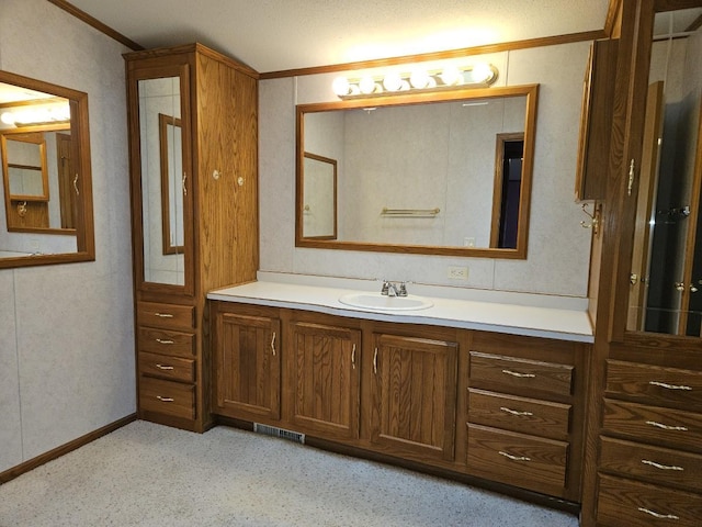 7102 Fire Tower Rd, Rhinelander, WI 54501 - bathroom featuring ornamental molding and vanity