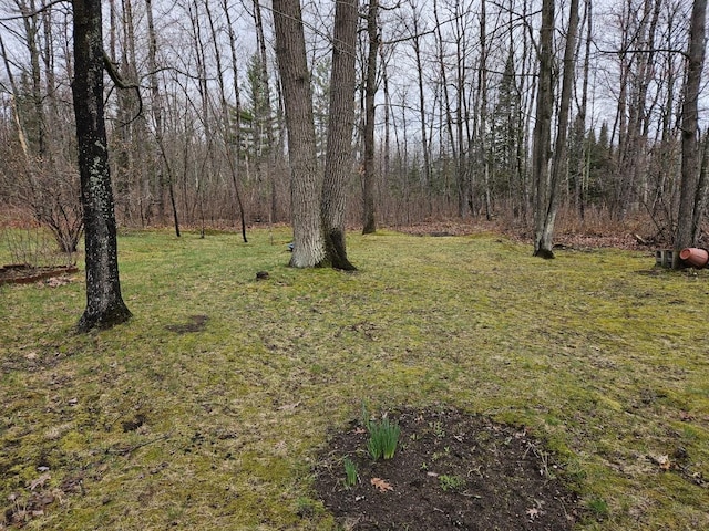 7102 Fire Tower Rd, Rhinelander, WI 54501 - view of green lawn with a view of trees