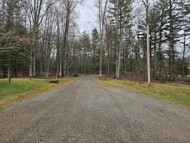 7102 Fire Tower Rd, Rhinelander, WI 54501 - view of dirt / gravel road featuring a view of trees