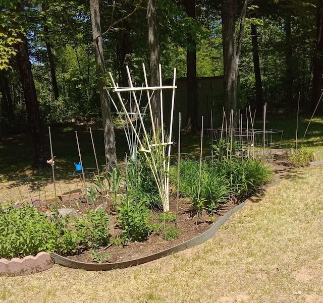 7102 Fire Tower Rd, Rhinelander, WI 54501 - view of yard