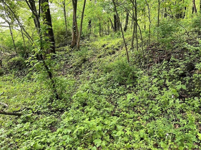 999 S Larson St, Richland Center, WI 53581