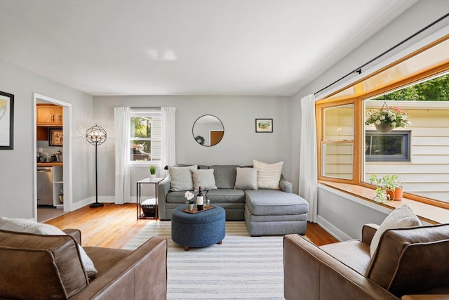 3725 Dawes St, Madison, WI 53714 - living room featuring plenty of natural light, wood finished floors, and baseboards