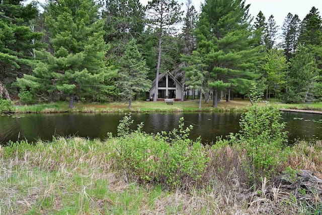 2775 Lake Rd, Barnes, WI 54873 - water view featuring a heavily wooded area