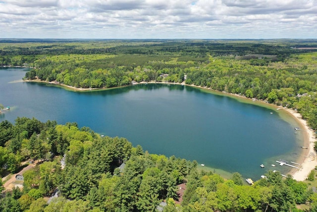W4643 S Pearl Lake Rd, Redgranite, WI 54970 - bird's eye view of a forest and a nearby body of water