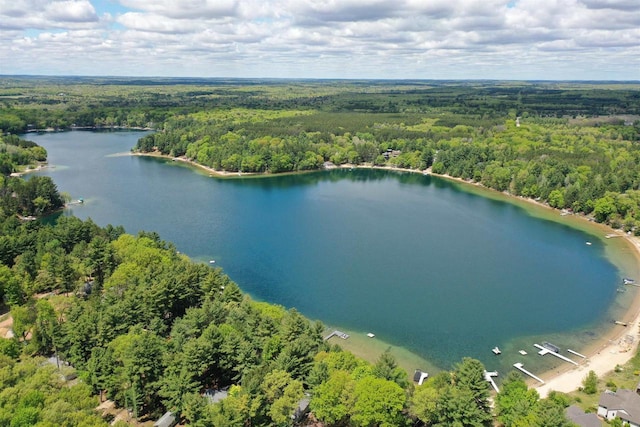 W4643 S Pearl Lake Rd, Redgranite, WI 54970 - drone / aerial view of a forest and a large body of water