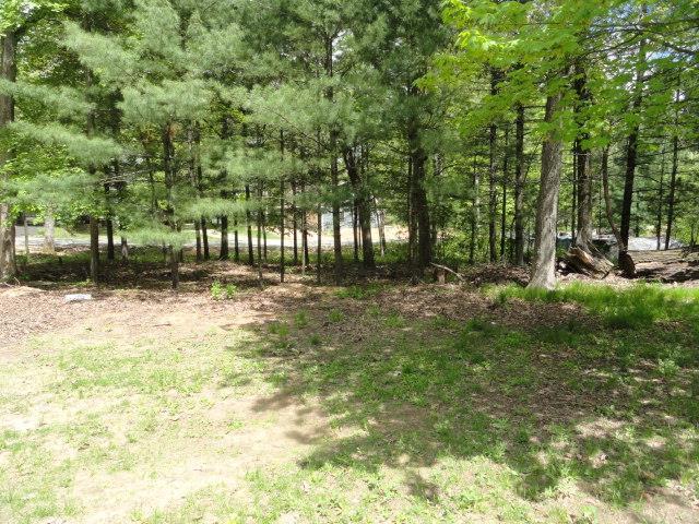 W4643 S Pearl Lake Rd, Redgranite, WI 54970 - view of local wilderness