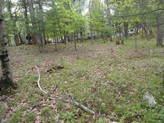 W4643 S Pearl Lake Rd, Redgranite, WI 54970 - view of local wilderness