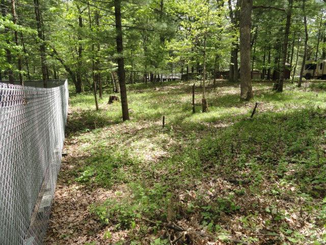 W4643 S Pearl Lake Rd, Redgranite, WI 54970 - view of yard with a wooded view