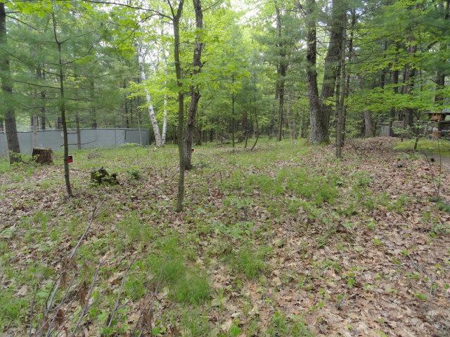 W4643 S Pearl Lake Rd, Redgranite, WI 54970 - view of yard with a forest view