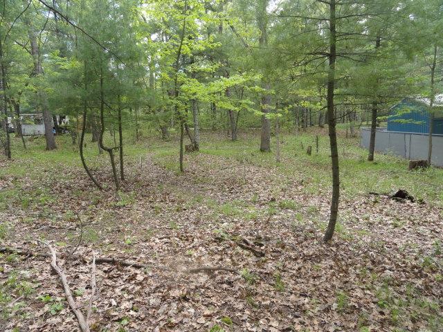 W4643 S Pearl Lake Rd, Redgranite, WI 54970 - view of woods