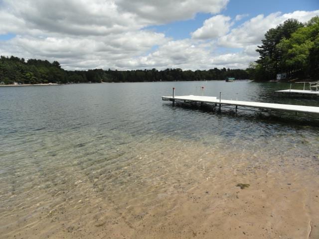 W4643 S Pearl Lake Rd, Redgranite, WI 54970 - dock featuring a water view