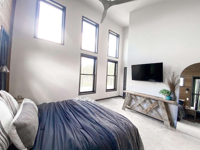 S7915 Ruthe Badger Ln, Merrimac, WI 53561 - bedroom featuring carpet flooring, arched walkways, and a towering ceiling