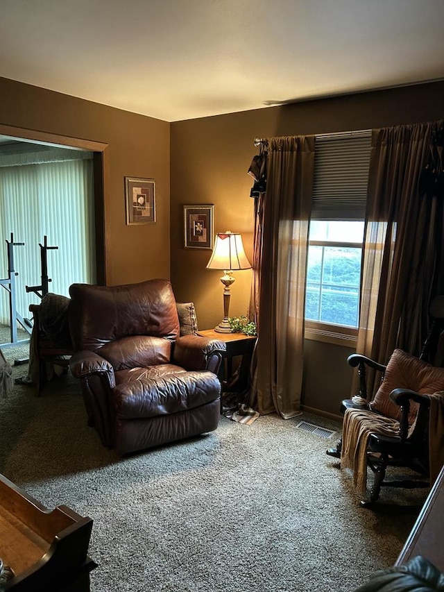 4103 80th St Unit 28A, Kenosha, WI 53142 - living room with carpet floors