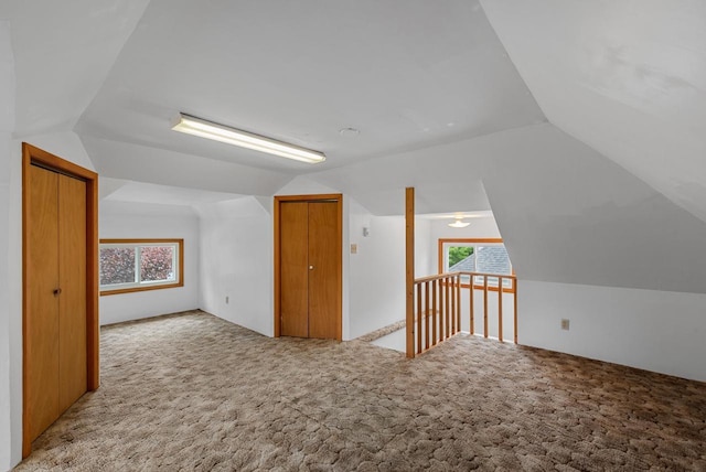 210 Gilmore Ave, Beaver Dam, WI 53916 - additional living space with lofted ceiling, carpet flooring, and plenty of natural light