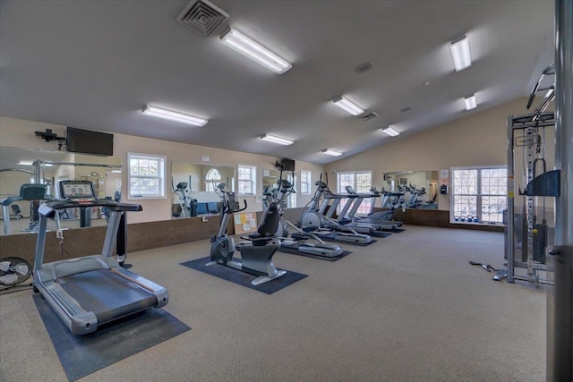 2 Captains Ct Unit 5, Madison, WI 53719 - workout area with carpet floors and vaulted ceiling