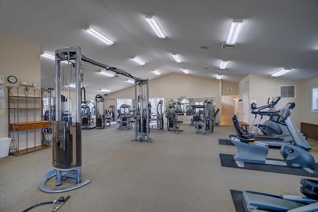 2 Captains Ct Unit 5, Madison, WI 53719 - exercise room featuring lofted ceiling and carpet flooring