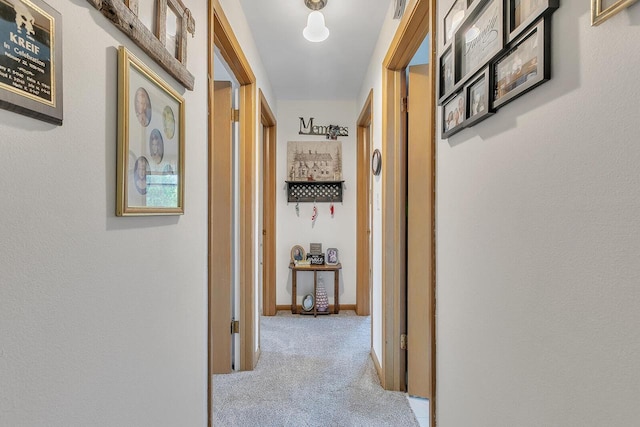 2117 N 27th St, Sheboygan, WI 53081 - hall featuring carpet floors and baseboards