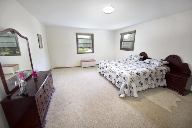 6538 N Bethmaur Ln, Glendale, WI 53209 - bedroom featuring light carpet