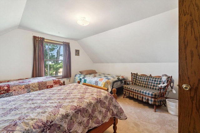 W7211 Pine Rd, Thorp, WI 54771 - bedroom featuring vaulted ceiling and carpet
