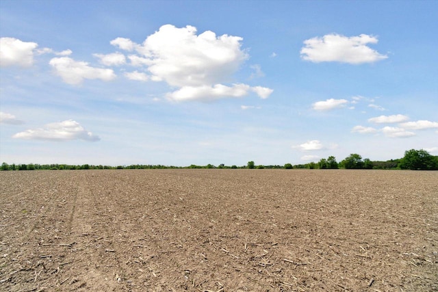 W7211 Pine Rd, Thorp, WI 54771 - view of local wilderness with rural landscape