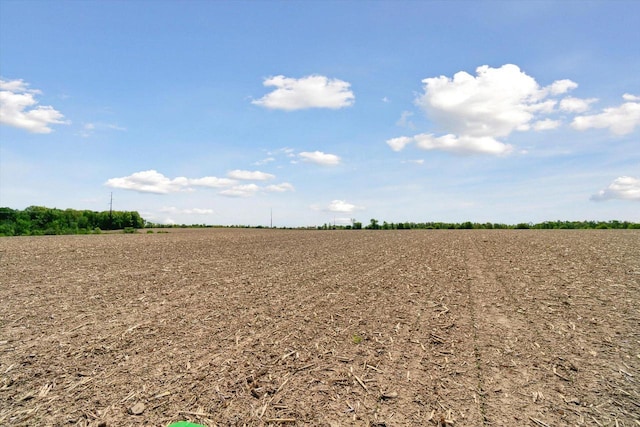 W7211 Pine Rd, Thorp, WI 54771 - view of nature with rural landscape
