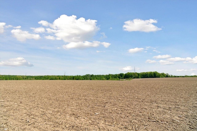 W7211 Pine Rd, Thorp, WI 54771 - view of undeveloped land featuring rural landscape